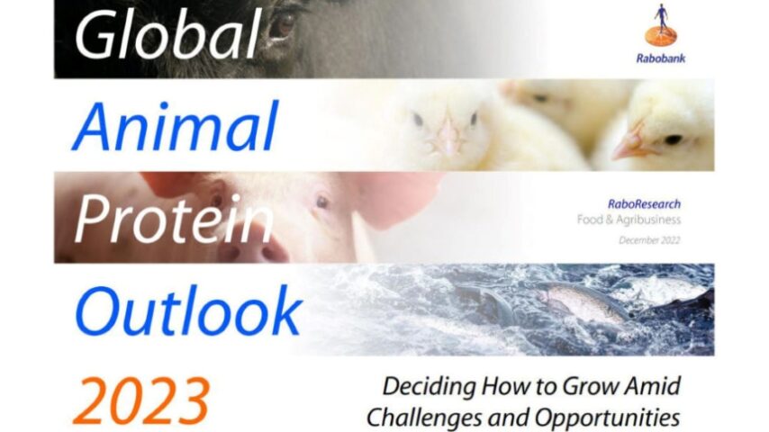Rabobank: Η αγορά των πουλερικών ενισχύεται, παρά τις ασταθείς οικονομικά συνθήκες