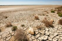 Η πρωτογενής παραγωγή της Ισπανίας απειλείται από την ξηρασία