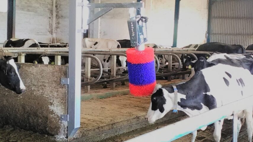 Η EFSA εξάγει τα συμπεράσματά της για τις γαλακτοπαραγωγικές αγελάδες και τα πουλερικά – Προτάσεις στην Ε.Ε. για την καλή μεταχείριση των ζώων