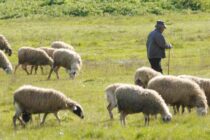 Το ΦΕΚ του νέου νόμου για τα κτηνοτροφικά πάρκα, τα αγροτικά επιμελητήρια και τη Σχολή Κρέατος Κρήτης