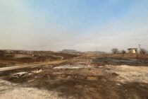 Άμεση καταβολή αποζημιώσεων από τις καταστροφές των πυρκαγιών στη Μαγνησία, βεβαιώνει ο ΥΠΑΑΤ
