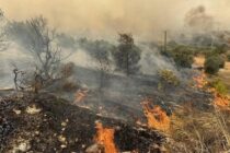Καταγραφή αγροτικών εκμεταλλεύσεων που καταστράφηκαν από τις πυρκαγιές του Έβρου