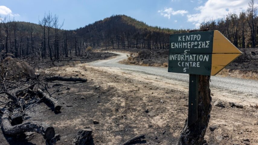 Κ. Δουνάκης: “Η αποδυνάμωση των δασικών υπηρεσιών βασικός λόγος αντιμετώπισης των πυρκαγιών – Γενναία στήριξη της πολιτείας προς τους κτηνοτρόφους, το επιτακτικό αίτημά μας”