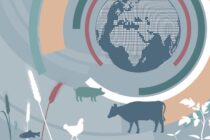 FAO: Οι επιπτώσεις της κλιματικής κρίσης έφεραν μείωση στην παραγωγή των ζωικών προϊόντων