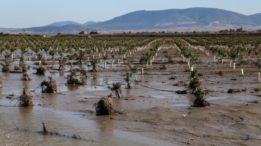 Την παράταση του Προγράμματος Μείωσης της Νιτρορύπανσης για τους αγρότες της Θεσσαλίας, ζήτησε από τη Βουλή ο βουλευτής Λάρισας της Ν.Δ., Χρήστος Καπετάνος