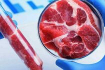 Πιέσεις Ε.Ε. στην Ιταλία να εγκρίνει το καλλιεργούμενο κρέας – Παρέμβαση σε ψηφισμένο σχέδιο νόμου που το απαγορεύει