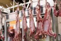 Για ελλείψεις αμνοεριφίων λόγω εξαγωγών κάνουν λόγο κτηνοτρόφοι