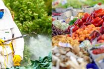 EFSA: Αυξημένα τα κατάλοιπα φυτοφαρμάκων στα τρόφιμα