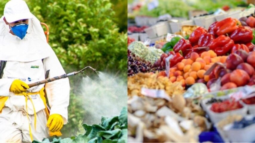 EFSA: Αυξημένα τα κατάλοιπα φυτοφαρμάκων στα τρόφιμα