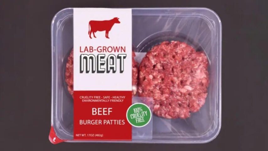 ΗΠΑ: Η Φλόριντα απαγορεύει διά νόμου την παραγωγή και πώληση κυτταρικού κρέατος