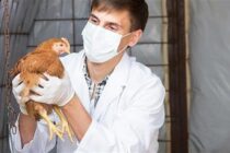 Καταγράφηκε το πρώτο ανθρώπινο θανατηφόρο κρούσμα παγκοσμίως από τη γρίπη των πτηνών (Η5Ν2) – Ανακοίνωση του ΠΟΥ