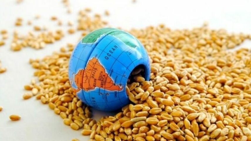Μείωση 1,25% στις τιμές τροφίμων το Μάιο, συγκριτικά με το 2023, βλέπει το ΙΕΛΚΑ