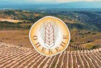 OΠΕΚΕΠΕ: Η κυβέρνηση ζητά εξεταστική – αλλά γιατί τώρα;