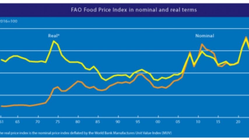 FAO: Ραγδαία αύξηση στις τιμές τροφίμων τον Οκτώβριο – Μείωση στις τιμές κρέατος