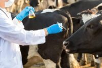 ΠΟΓΕΔΥ: «Ρουσφέτια αντί για λύσεις»