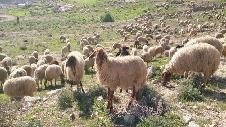 Ηχηρό μήνυμα από τον ΣΕΚ: «Δεν ζητάμε, απαιτούμε!»