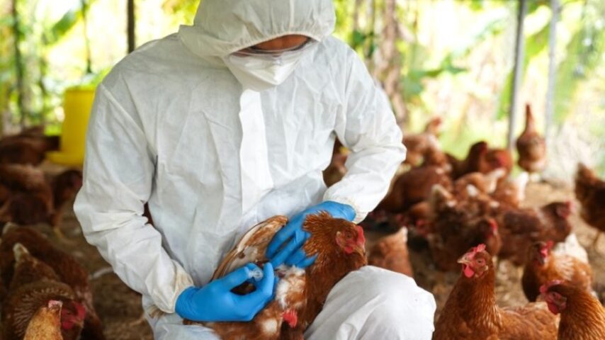 Η Ελλάδα απορρίπτει την ευρωπαϊκή υποστήριξη σε εμβόλια και αποζημιώσεις σε ζωονόσους