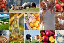 Εμπορική άνοδος στα αγροδιατροφικά προϊόντα της Ε.Ε.