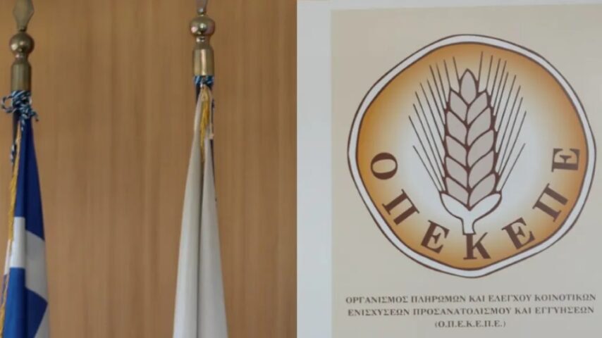 Ανάπτυξη και ανθεκτικότητα στον αγροτικό τομέα
