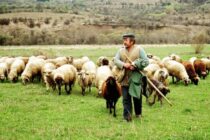 Εξάρτηση της κτηνοτροφίας από τις επιδοτήσεις