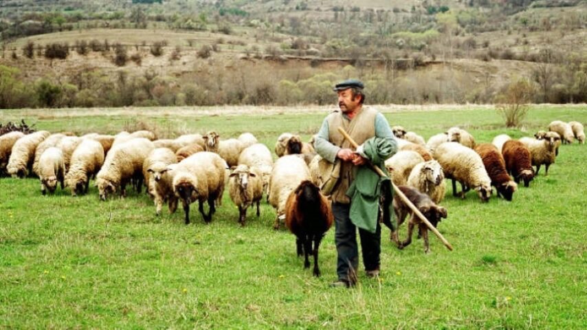 Εξάρτηση της κτηνοτροφίας από τις επιδοτήσεις