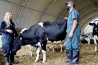 Συναγερμός για γεωτεχνικές υπηρεσίες