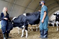 Συναγερμός για γεωτεχνικές υπηρεσίες