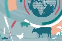 Ο FAO προειδοποιεί για νέες πιέσεις στη ζωική παραγωγή