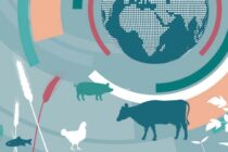 FAO: Ανοδική τάση στην παγκόσμια κρεατοπαραγωγή