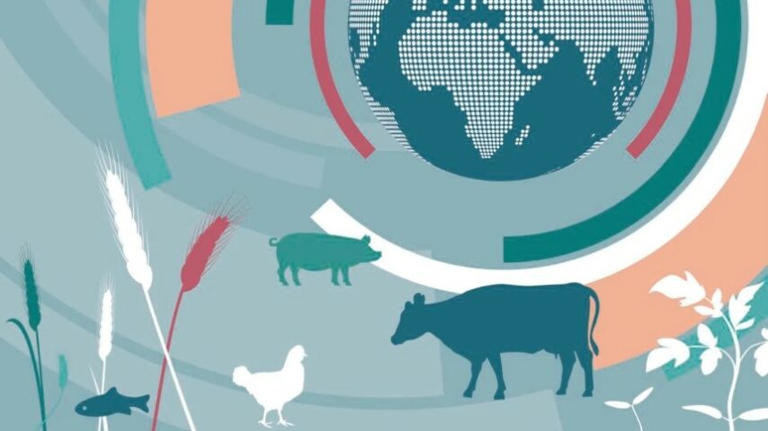 FAO: Ανοδική τάση στην παγκόσμια κρεατοπαραγωγή