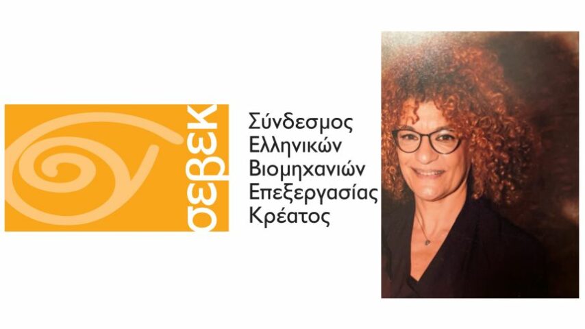 H Δ. Μπακιρλή νέα πρόεδρος του ΣΕΒΕΚ
