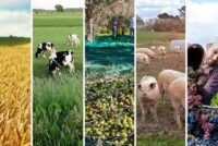 ΚΑΠ 2028: Χρηματοδότηση ή χάος;