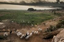 Κλιματική απειλή στον αγρο‐κτηνοτροφικό τομέα