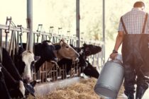 Αγρότες σε αναμονή: Αγώνας, κανόνες, πληρωμές
