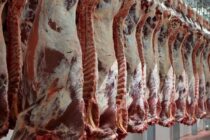 Ε.Ε. Η έλλειψη σφαγείων ανεβάζει στο κόκκινο τις τιμές βοοειδών