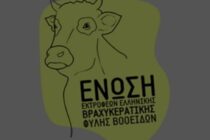 Αγανάκτηση από τους εκτροφείς της Ελληνικής Βραχυκερατικής