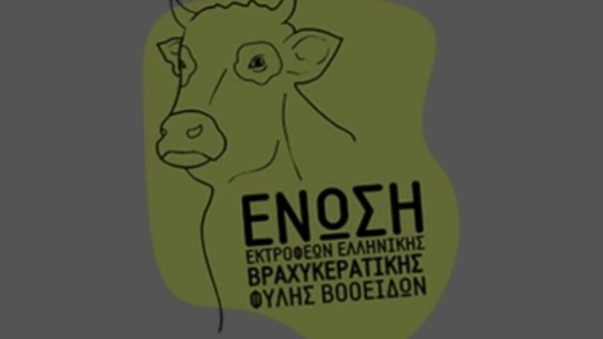 Αγανάκτηση από τους εκτροφείς της Ελληνικής Βραχυκερατικής