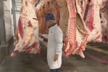 Βόειο κρέας: Μειώνονται οι παραγωγοί, αυξάνονται οι ελλείψεις