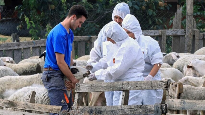 Έκτακτη συνεδρίαση στον Τύρναβο για την ευλογιά