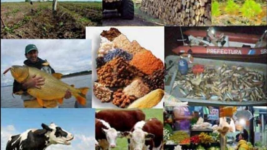 Copa-Cogeca: Αγανάκτηση για τις προτάσεις της Κομισιόν