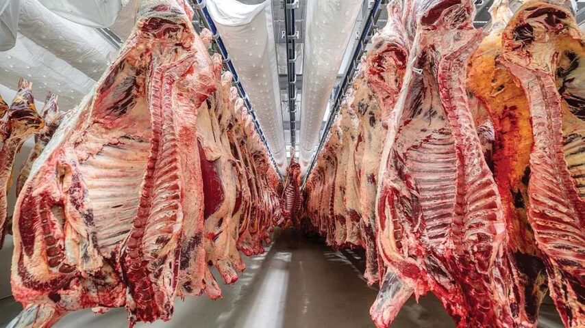 Τραμπ κατά επιχειρήσεων βόειου κρέατος για τις τιμές