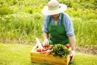 Αξιοπιστία στα βιολογικά προϊόντα – Εντατικοί έλεγχοι και κυρώσεις