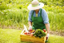 Αξιοπιστία στα βιολογικά προϊόντα – Εντατικοί έλεγχοι και κυρώσεις