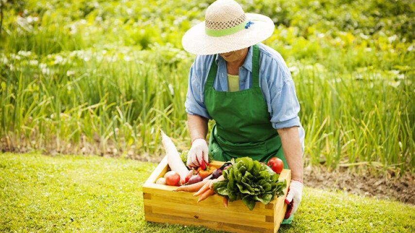 Αξιοπιστία στα βιολογικά προϊόντα – Εντατικοί έλεγχοι και κυρώσεις