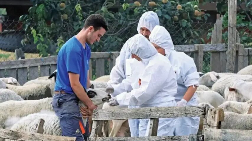 Ευλογιά: Αυστηροί έλεγχοι