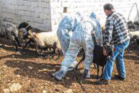 Ευλογιά: Καραντίνα σε όλη τη χώρα