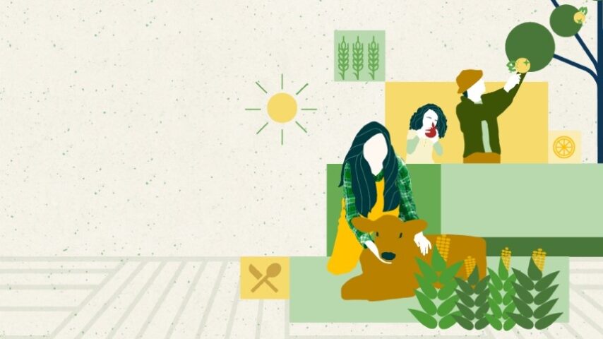 Η νέα ΚΑΠ μετά το 2027: Τι αλλάζει για την παραγωγή