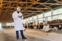 ΠΟΓΕΔΥ-ΠΕΚΔΥ: Επείγοντα μέτρα με θολό αποτέλεσμα