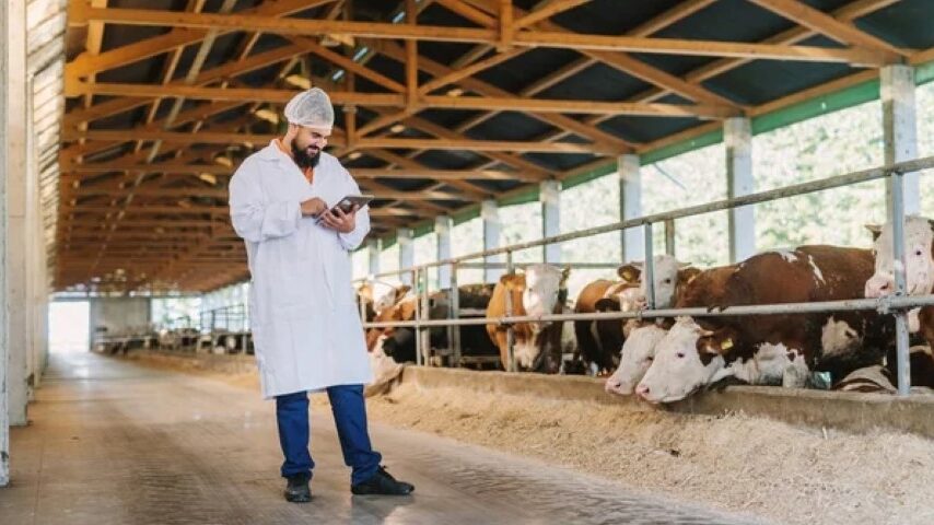 ΠΟΓΕΔΥ-ΠΕΚΔΥ: Επείγοντα μέτρα με θολό αποτέλεσμα