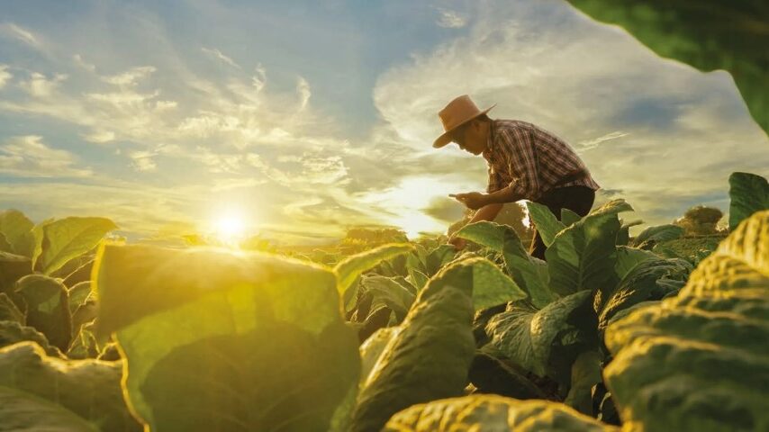 ΟΟΣΑ: Υψηλή στήριξη, χαμηλή ανάπτυξη στη γεωργία